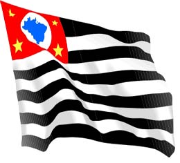 bandeira do estado de s&atilde;o paulo